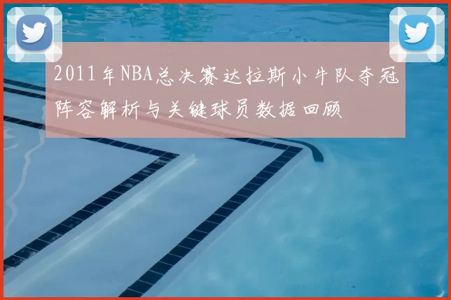 2011年NBA总决赛达拉斯小牛队夺冠阵容解析与关键球员数据回顾