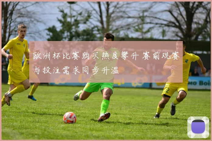 欧洲杯比赛购买热度攀升 赛前观赛与投注需求同步升温